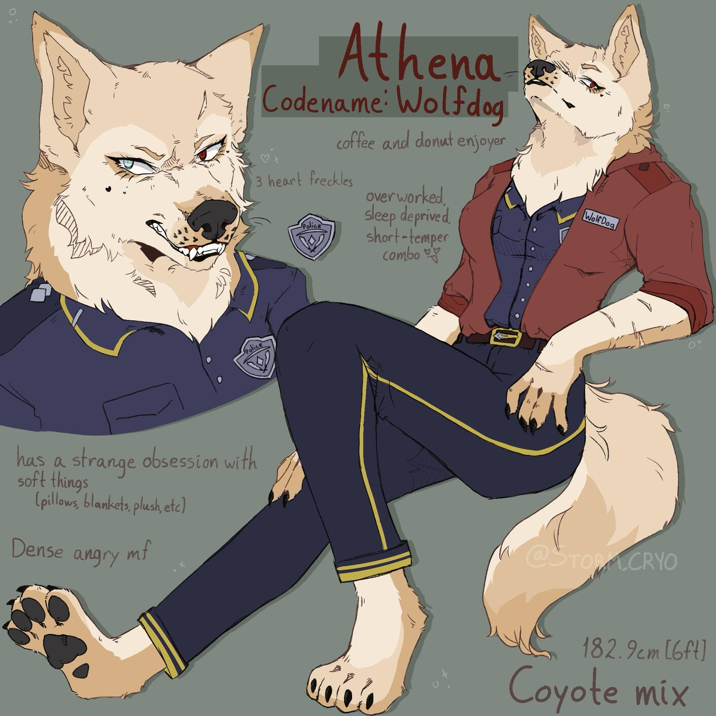 Reference Sheet